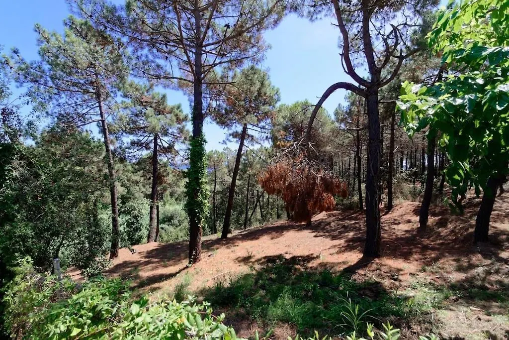 Cl11 Nice Townhouse With Sea Views Lloret de Mar Holiday home